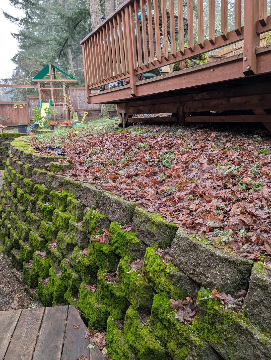 Antes e depois de limpeza de fachada e muro Nova Friburgo